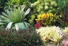Moorabbin Eastplanting-garden-and-landscape-design-24.jpg; ?>