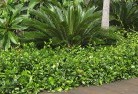 Moorabbin Eastplanting-garden-and-landscape-design-45.jpg; ?>